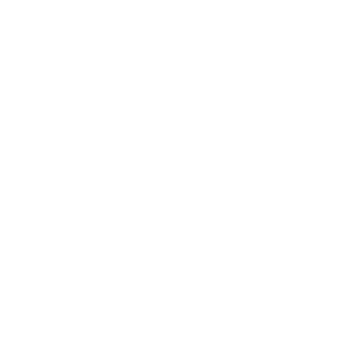 YJ Website logo_Mizuno