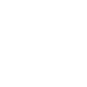 YJ Website logo_NOC-NSF