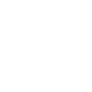 YJ Website logo_TeamNL