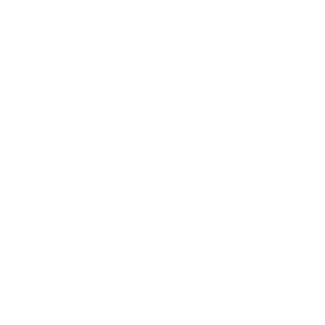 YJ Website logo_ZonMW